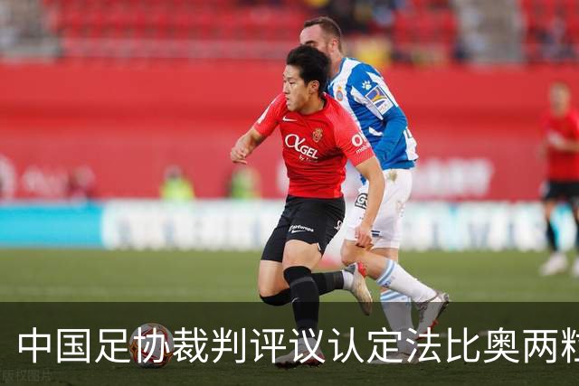 中国足协裁判评议认定法比奥两粒进球均为好球